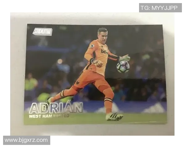 2023到2024赛季英超足球球星卡全面解析及其市场走势分析 2023到2024赛季英超足球球星卡全面解析及其市场走势分析