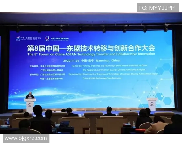 上海小赛虎足球星河湾周边发展规划与未来潜力分析